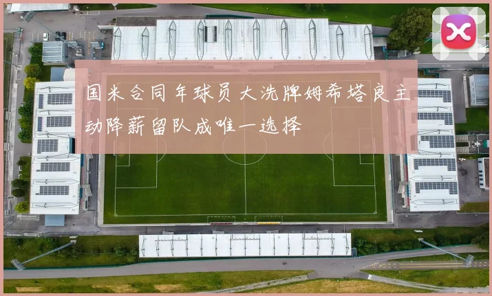 国米合同年球员大洗牌姆希塔良主动降薪留队成唯一选择