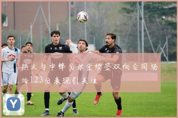 热火与中锋戈尔金续签双向合同场均123分表现引关注